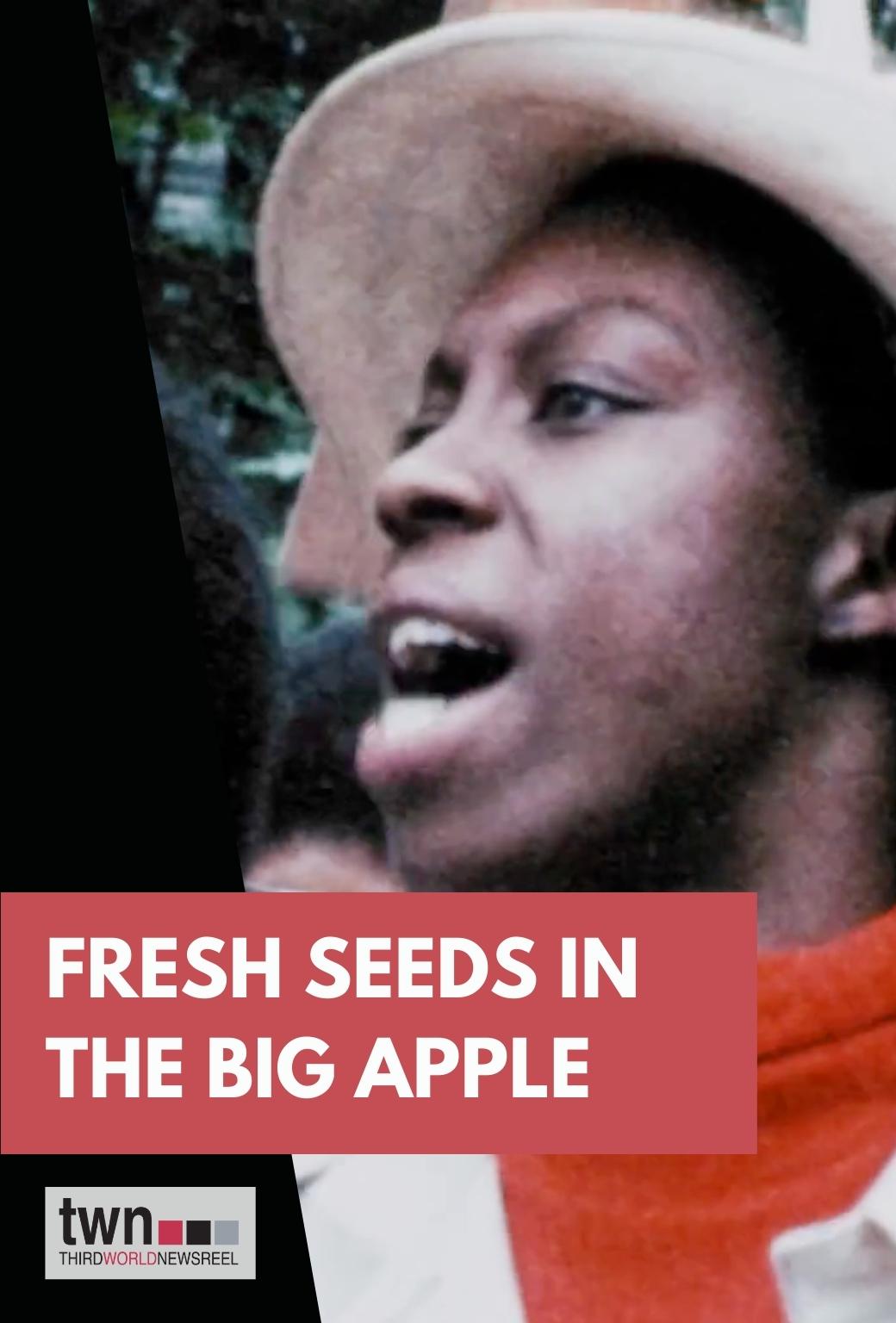 Fresh Seeds in The Big Apple